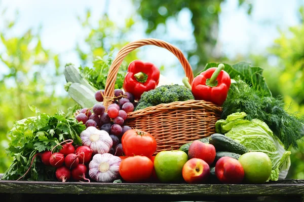 Verduras orgánicas frescas en canasta de mimbre en el jardín — Foto de Stock