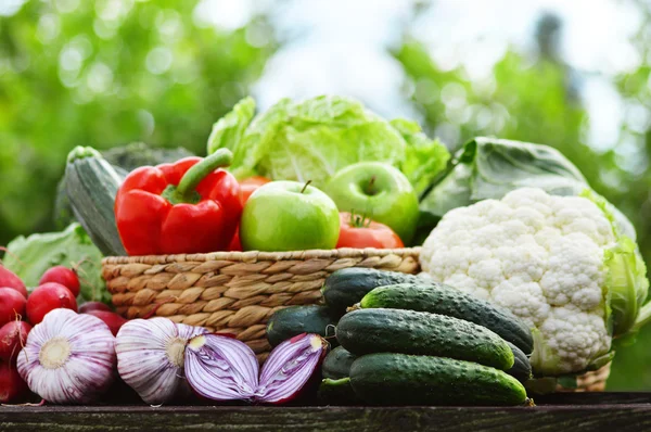 Свежие органические овощи в плетеной корзине в саду — стоковое фото