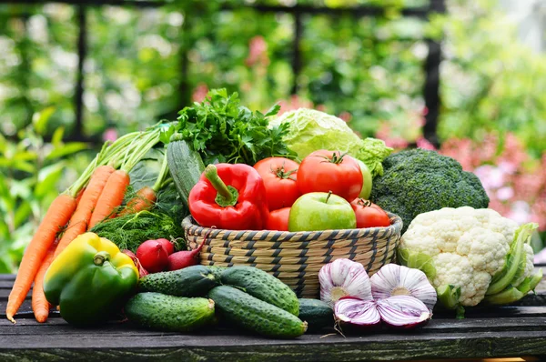 Färska ekologiska grönsaker i flätad korg i trädgården — Stockfoto