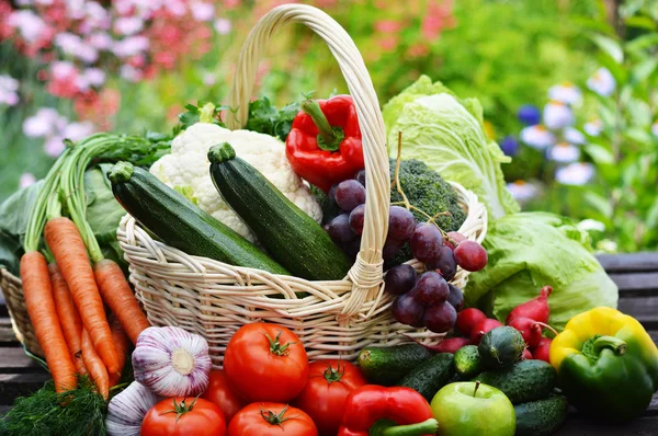 新鲜有机蔬菜的柳条篮在花园里 — 图库照片
