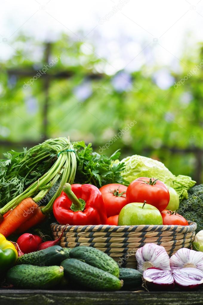 Fresh organic vegetables in wicker basket in the garden