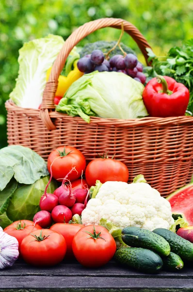 Verse biologische groenten in rieten mand in de tuin — Stockfoto