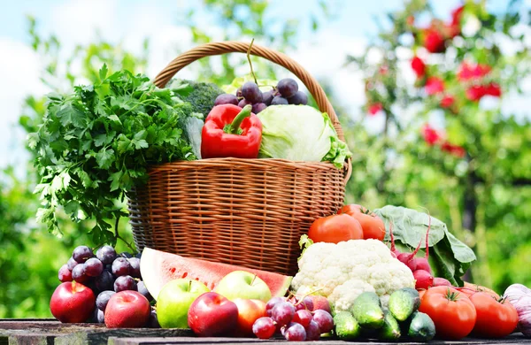 Fresh organic vegetables in wicker basket in the garden — Stock Photo, Image