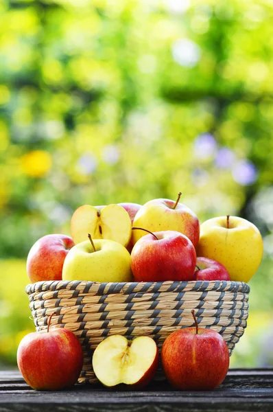 Organic apples in the garden. Balanced diet — Stock Photo, Image