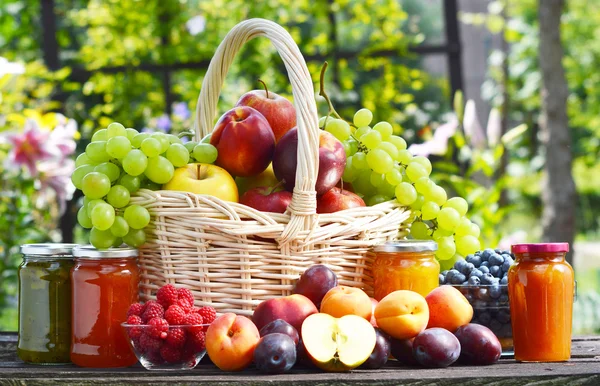 Frutas orgánicas frescas maduras en el jardín. Dieta equilibrada — Foto de Stock