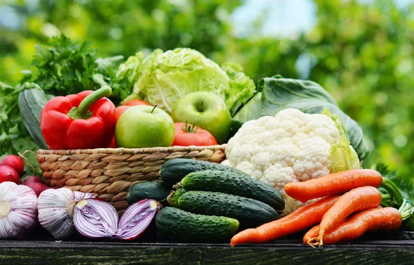 Mängd färska ekologiska grönsaker i trädgården — Stockfoto