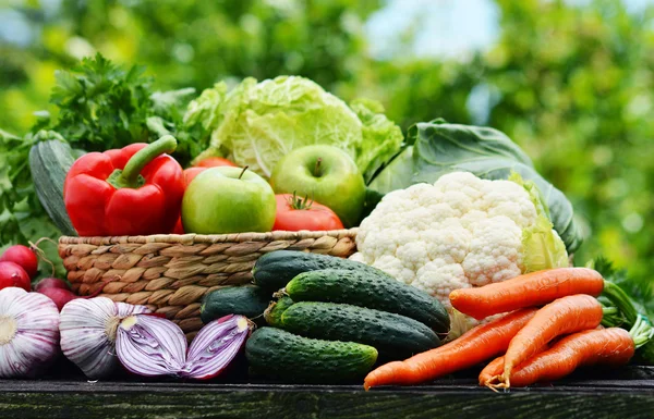 Varietà di verdure fresche biologiche in giardino — Foto Stock