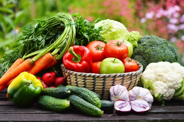 Vielfalt an frischem Bio-Gemüse im Garten — Stockfoto