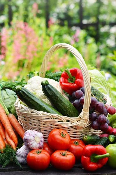 Vielfalt an frischem Bio-Gemüse im Garten — Stockfoto