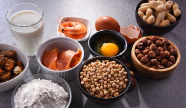 Yumurta, süt, soya, fıstık, fındık, balık, deniz ürünleri ve buğday unu gibi ortak gıda alerjisi olan bileşim