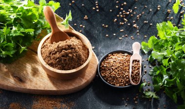 Zemin kişniş, kurumuş tohumlar ve taze yapraklarla kompozisyonu