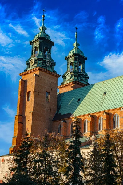 Katedra Królewska Gnieźnie Polska — Zdjęcie stockowe