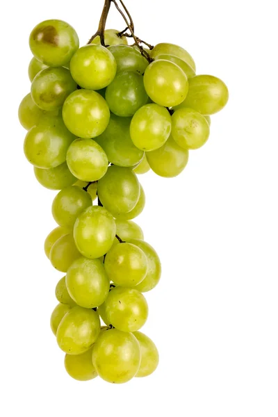 Ramo de uvas verdes Muscat —  Fotos de Stock