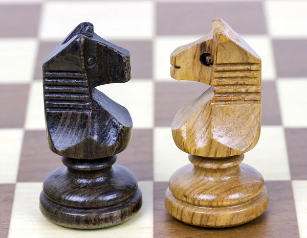 Two chess horse — Stock Photo, Image