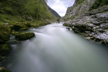 nalon Nehri