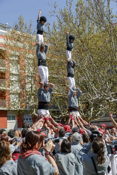 Castellers Sant Cugat 2013 — Stok fotoğraf