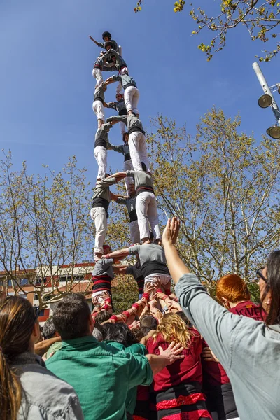 Castellers Sant Cugat 2013 — Zdjęcie stockowe