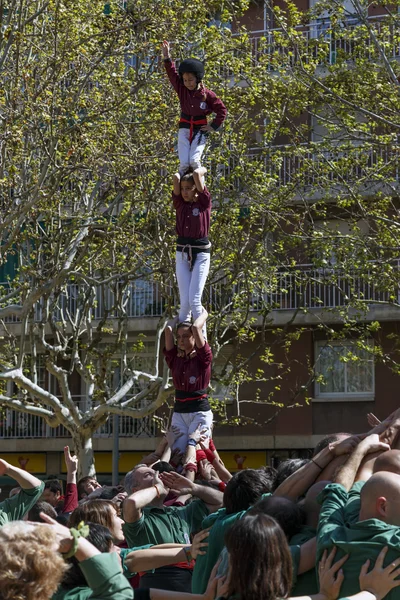 Castellers de Sant Cugat 2013 — Foto de Stock