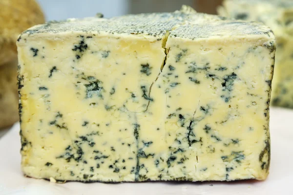 Cabrales peynir — Stok fotoğraf