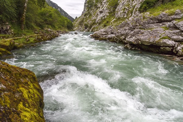 Bryr sig om floden — Stockfoto