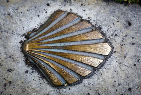 Santiago compostela brass shell — Stock Photo, Image