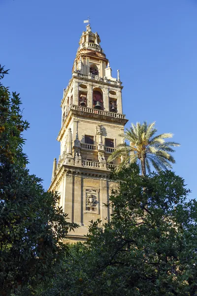 Minaret mecset cordoba, Spanyolország — Stock Fotó