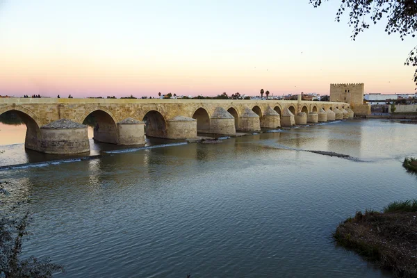 Sunset in the Roman bridge as it passes through the river Guadalquivir in Cordoba — Stock Photo, Image