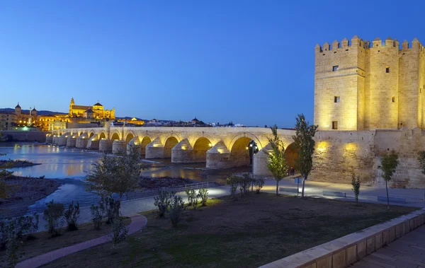 Starý římský most a věž calahora v noci, cordoba — Stock fotografie