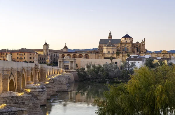 Starý římský most a věž calahora v noci, cordoba — Stock fotografie