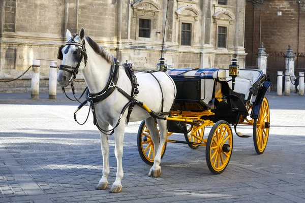 Белая лошадь и традиционная туристическая карета в Севилье — стоковое фото