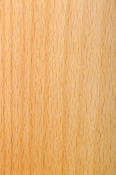 Laminated beech wood varnished — Stock Photo, Image