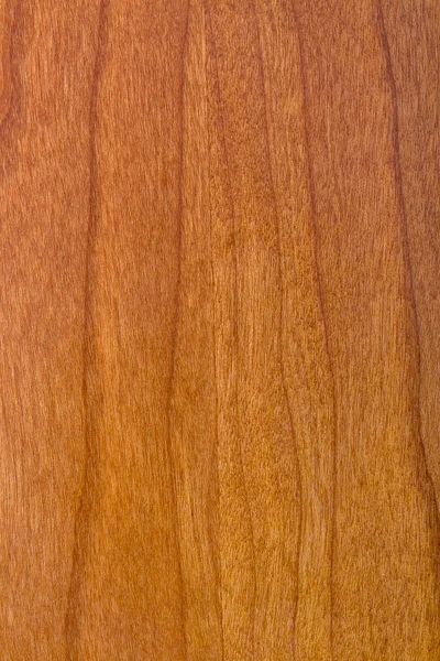 Laminated wood varnished maple — Stock Photo, Image