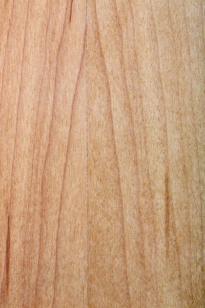 Laminated maple wood varnished — Stock Photo, Image