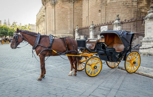 Schwarzes Pferd und traditionelle Touristenkutsche in sevilla — Stockfoto