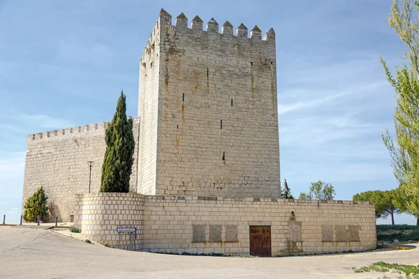 Castle Monzon de Campos — Stock Photo, Image