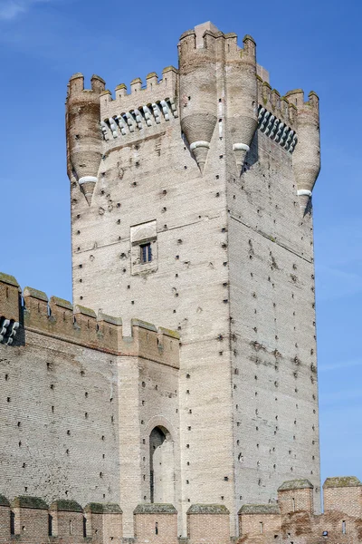 Château de La Mota — Photo