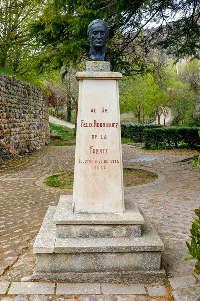 Poza Sal Espanha Maio 2022 Busto Naturista Espanhol Felix Rodriguez — Fotografia de Stock