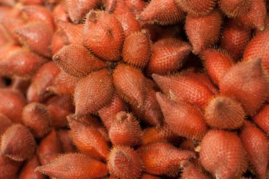 rakum palmiye meyve - salacca çam c. martius