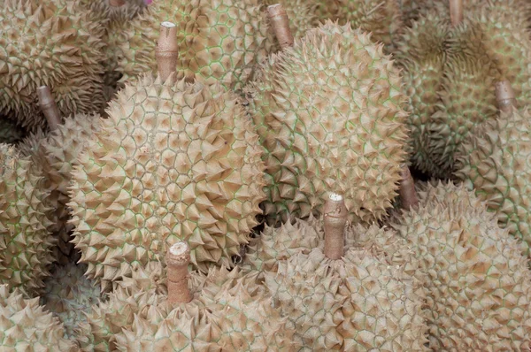 Frutas frescas de durión — Foto de Stock