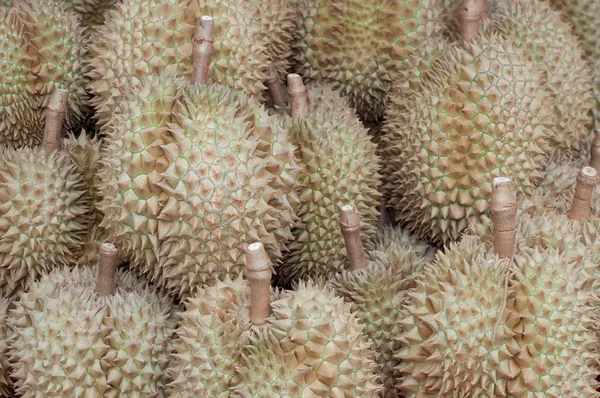 Frutas frescas de durión — Foto de Stock