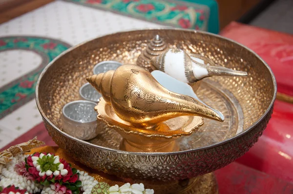 Conch shell for thai wedding ceremony — Stock Photo, Image