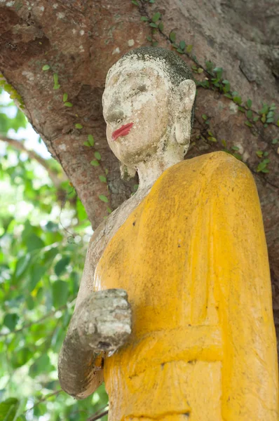 Terk edilmiş kırık Budizm heykeli — Stok fotoğraf