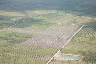 tarım alanı - helikopter görünümünden