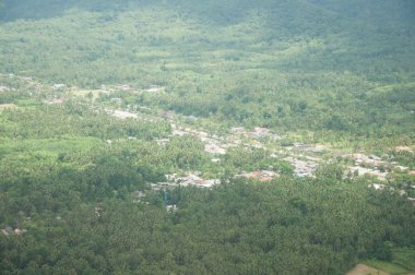 uzun ülke road ve orman manzarası