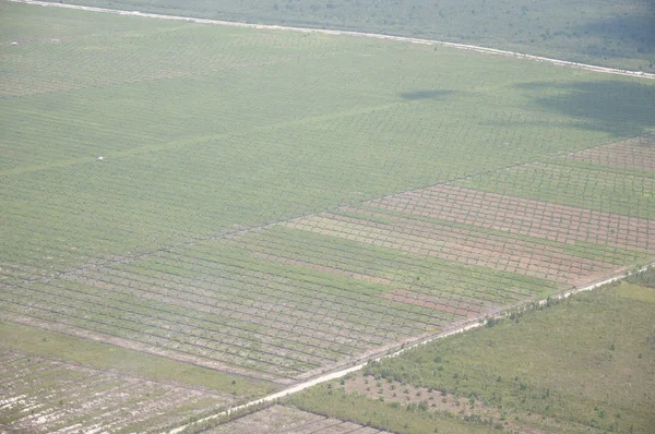 Campo agricolo - vista dall'elicottero — Foto Stock