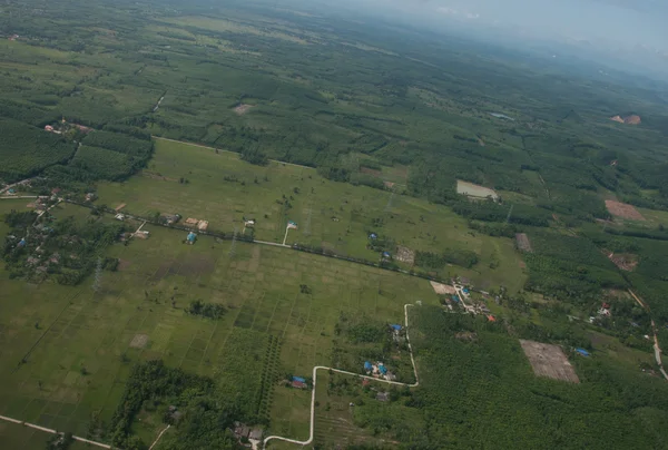 Rice field view from sky — Stock Photo, Image