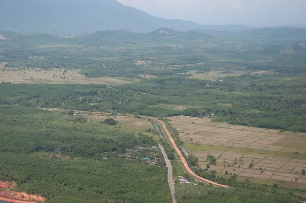 Strada e foresta — Foto Stock