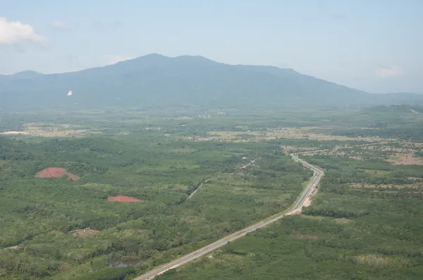 Estrada e floresta — Fotografia de Stock