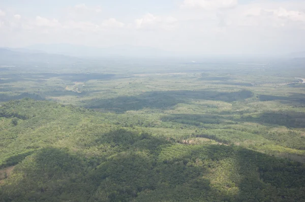 Floresta e paisagem montanhosa — Fotografia de Stock