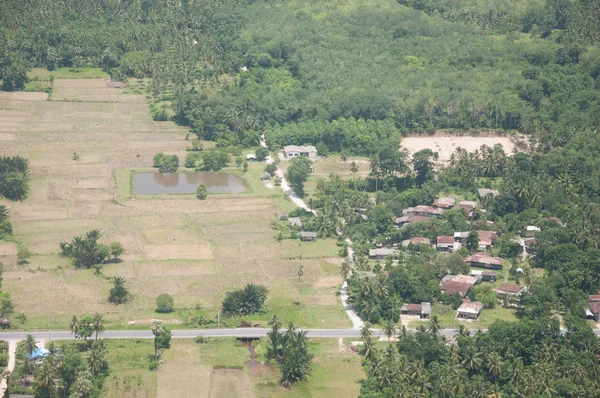 País estrada e campo de arroz paisagem — Fotografia de Stock